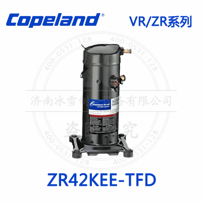 ZR42KEE-TFD_1